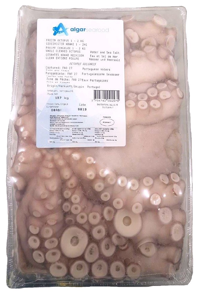 Kraken mit Kopf