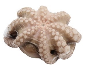 Kraken mit Kopf in Blume
