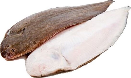 Seezunge