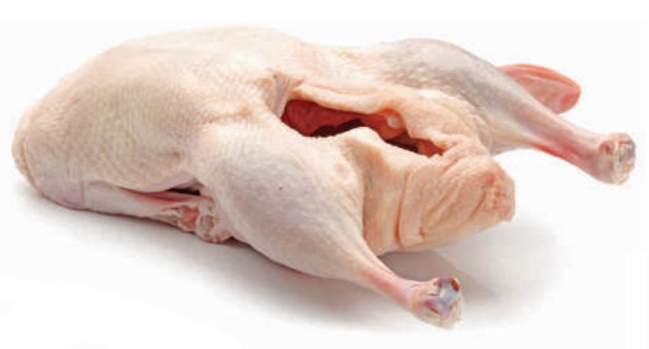 Ente
