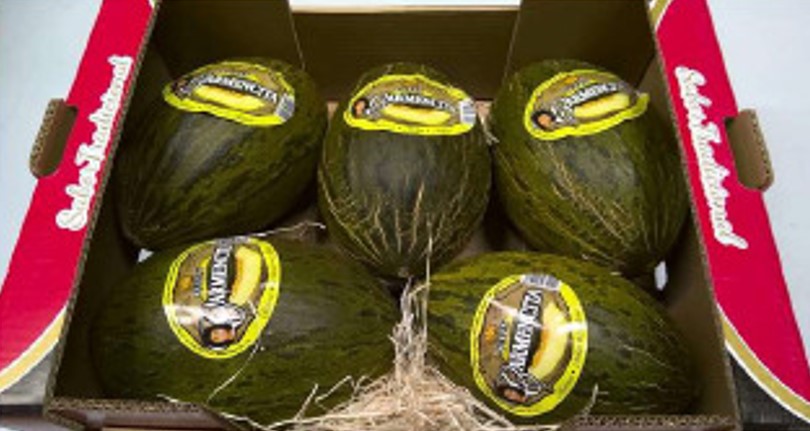 Melone