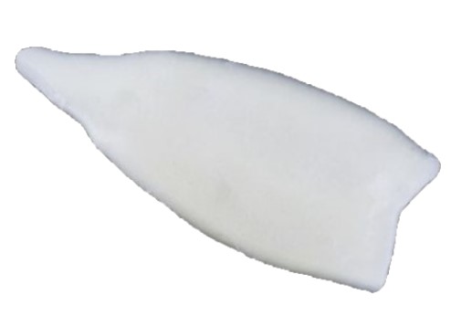 Tintenfisch